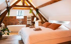 Le Laurencin Sens - Le Duplex - Cœur de ville